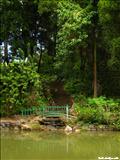 Jardín Botánico - SAN JUAN